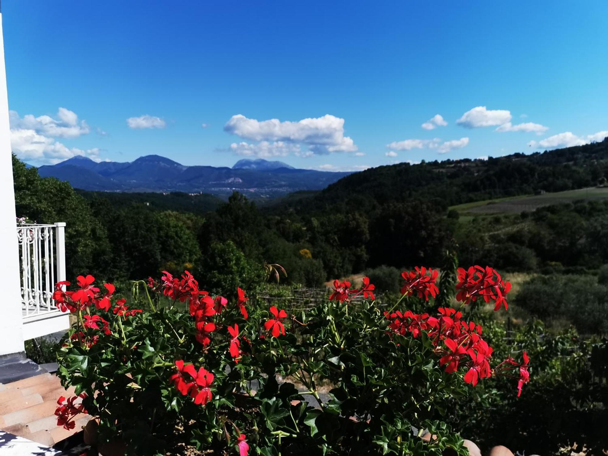 Agriturismo Donna Bianca Mormanno Zewnętrze zdjęcie