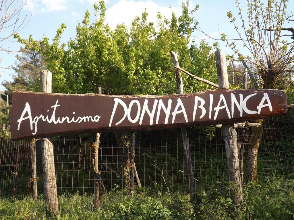Agriturismo Donna Bianca Mormanno Zewnętrze zdjęcie