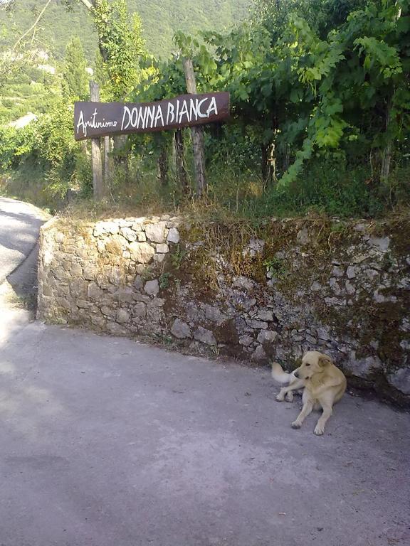 Agriturismo Donna Bianca Mormanno Zewnętrze zdjęcie